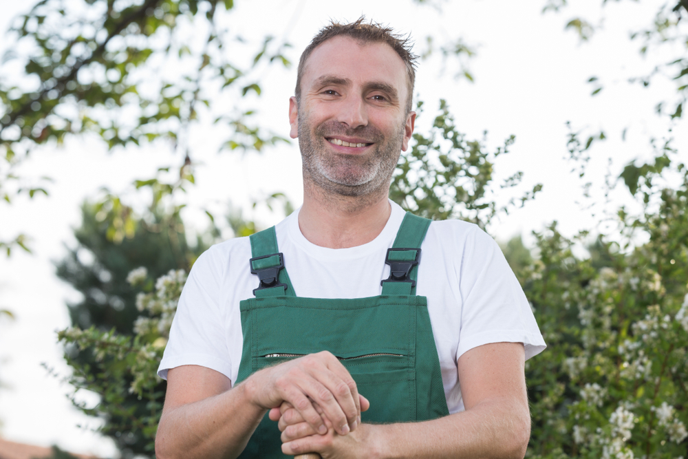 Arboricultural Consultation